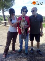 Otro momento previo a la liberación del águila imperial "Noor", sujetada por su madrina Virginia.