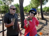 La familia de la madrina Virginia también pudo liberar dos cernícalos vulgares recuperados en GREFA.