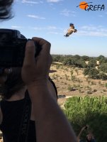 Otra imagen de "Noor" durante su primer vuelo en libertad.