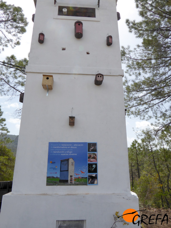 Caseta de transformador eléctrico en Villalba de la Sierra (Cuenca), ya acondicionada como punto de biodiversidad.