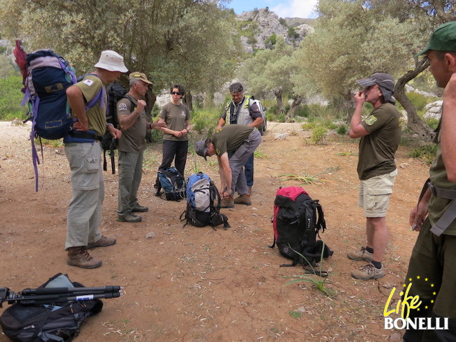 El equipo de LIFE Bonelli se prepara antes de partir hacia el nido de las águilas de Bonelli "Vent" y "Bel". Foto: Carlota Viada.