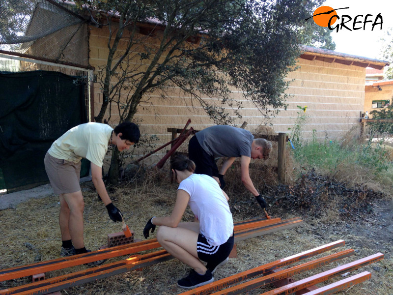 Varios voluntarios ayudan en el mantenimiento y mejora de nuestras instalaciones.
