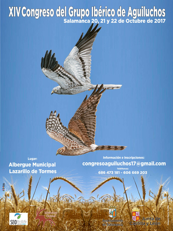 Cartel del XIV Congreso del Grupo Ibérico de Aguiluchos.