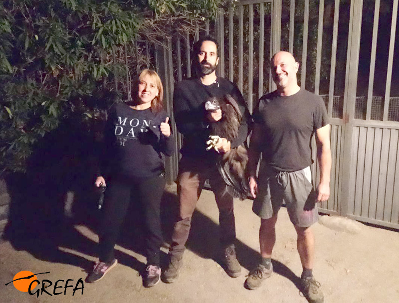 Un miembro de GREFA, en el centro, con el buitre negro, acompañado de las personas que dieron el aviso para rescatar al animal.