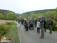 Asistentes al seminario observan aves a la entrada de la Foz de Lumbier (Navarra).