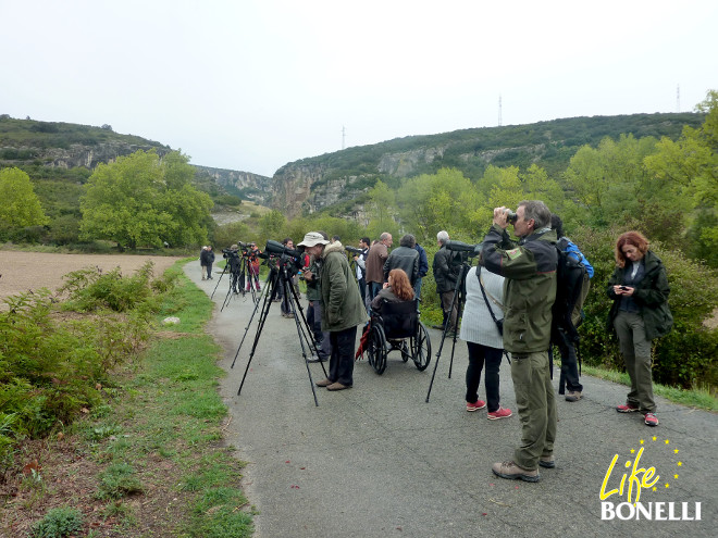 Asistentes al seminario observan aves a la entrada de la Foz de Lumbier (Navarra).