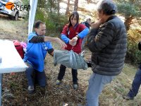 Los veterinarios de GREFA pesan a uno de los buitres negros que van a ser marcados con emisor.