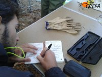 Un colaborador anota los datos básicos correspondientes al buitre negro que está siendo marcado en ese momento.