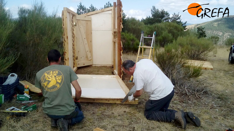 Voluntarios construyen un observatorio para facilitar las tareas de seguimiento de los buitres negros trasladados a la Sierra de la Demanda para su liberación.