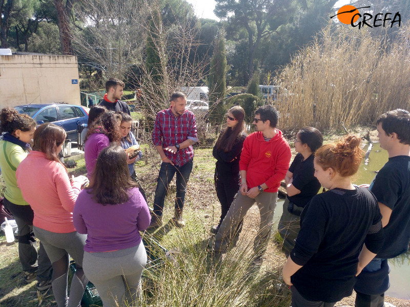 Los alumnos atienden las explicaciones de Fernando Blanca, responsable del proyecto de GREFA de recuperación del galápago europeo.