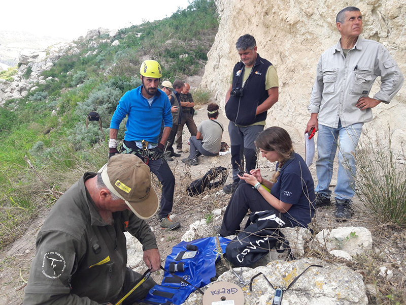 Equipo de expertos italianos y españoles durante el marcaje con GPS de los pollos de águila de Bonelli en Sicilia. Foto: LIFE ConRaSi.