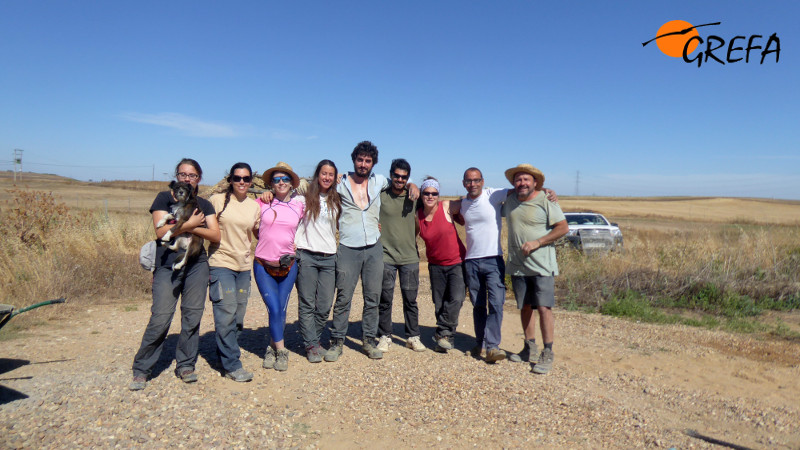 El equipo de GREFA con parte de los voluntarios que colaboraron en la colocación de los nidales.