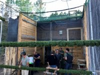 Revisión del interior de la jaula-hacking por el equipo de AQUILA a-LIFE, antes de introducir a las águilas de Bonelli.