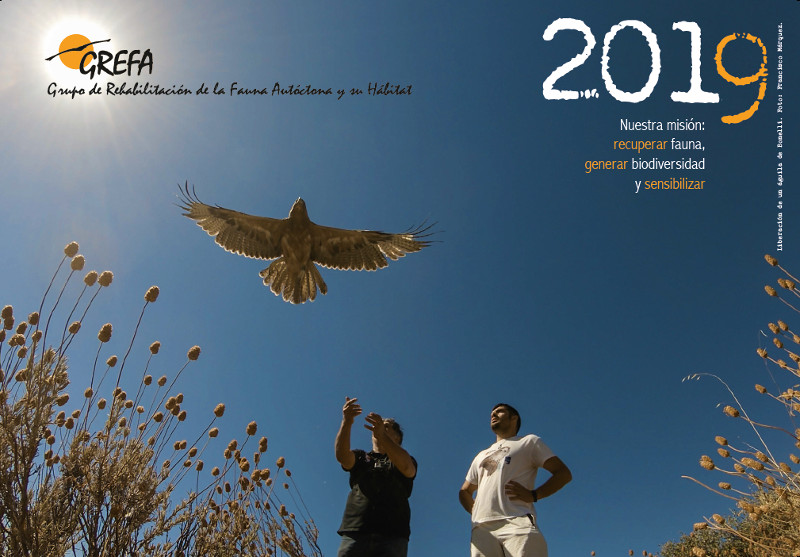 Portada del Calendario 2019 de GREFA, con una fotografía de nuestro colaborador Francisco Márquez que recoge el precioso momento de la liberación de un águila de Bonelli.