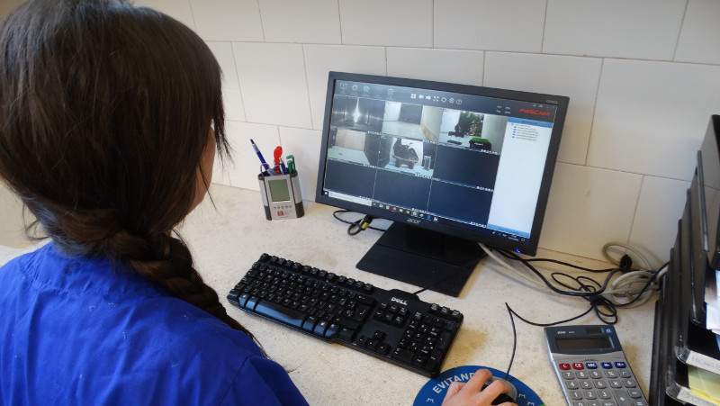 Una veterinaria de GREFA observa las imágenes enviadas por el sistema de vídeo-vigilancia instalado en las áreas de nuestro hospital de fauna que acogen a los animales que requieren atención prioritaria.