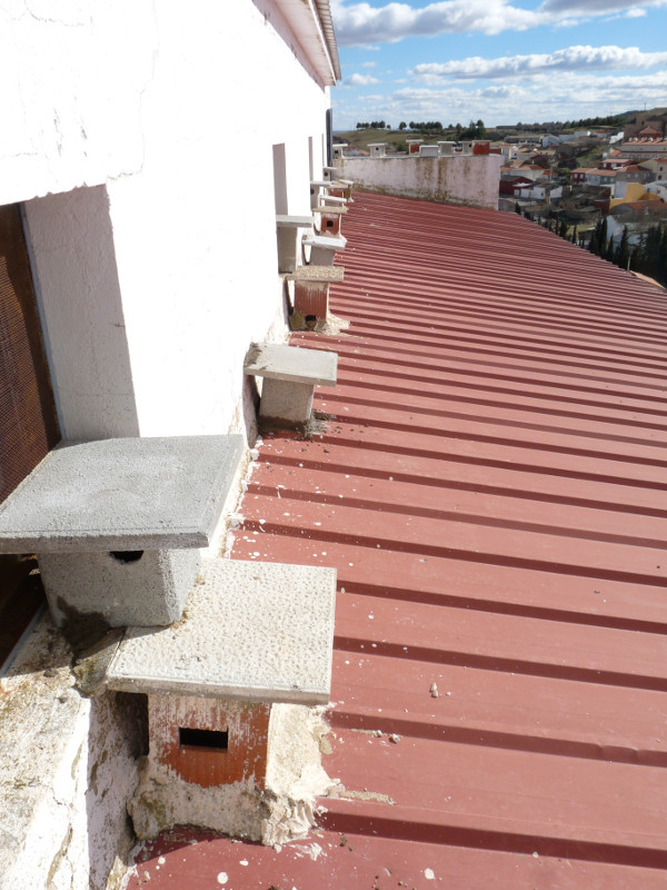 Nidales para cernícalo primilla instalados por GREFA en el tejado de un silo agrícola.