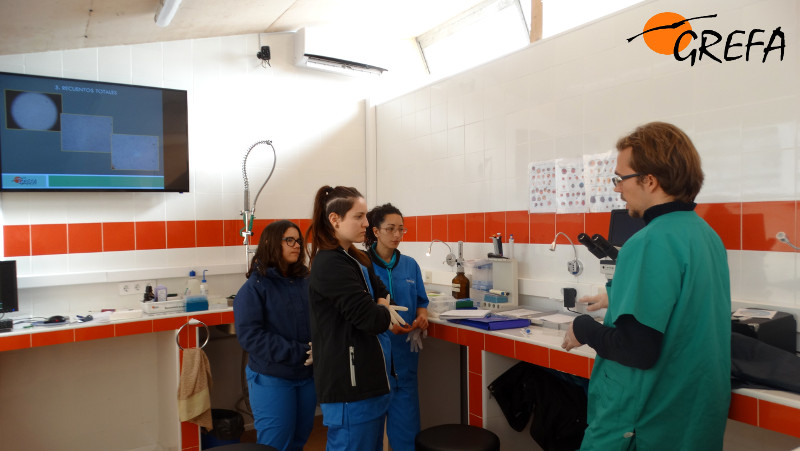 Un momento de las prácticas del Curso de Técnicos en el laboratorio del hospital de fauna de GREFA.