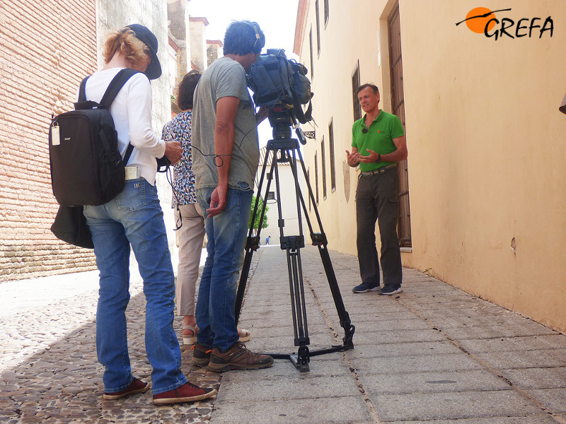 Un momento de la grabación para Canal Sur de un reportaje sobre el trabajo de GREFA con el cernícalo primilla en la provincia de Córdoba.