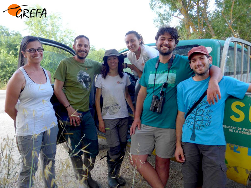 Miembros y colaboradores de GREFA que han formado parte del equipo encargado de la reciente liberación de los galápagos europeos.