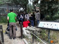 Un grupo de visitantes recibe explicaciones del trabajo de GREFA en el recinto dedicado a los córvidos.