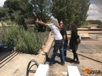 ¡El momento de la suelta del águila ratonera!