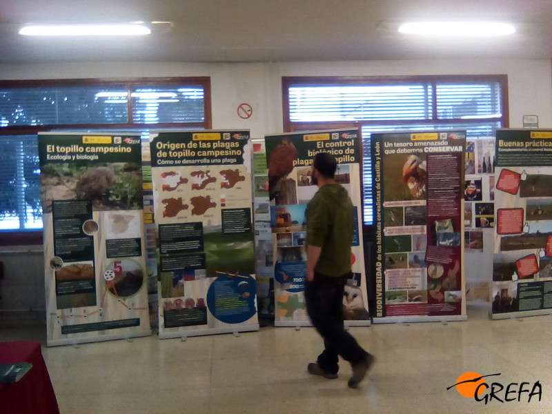 Un asistente a las IV Jornadas de Agricultura Ecológica recorre la exposición de GREFA.