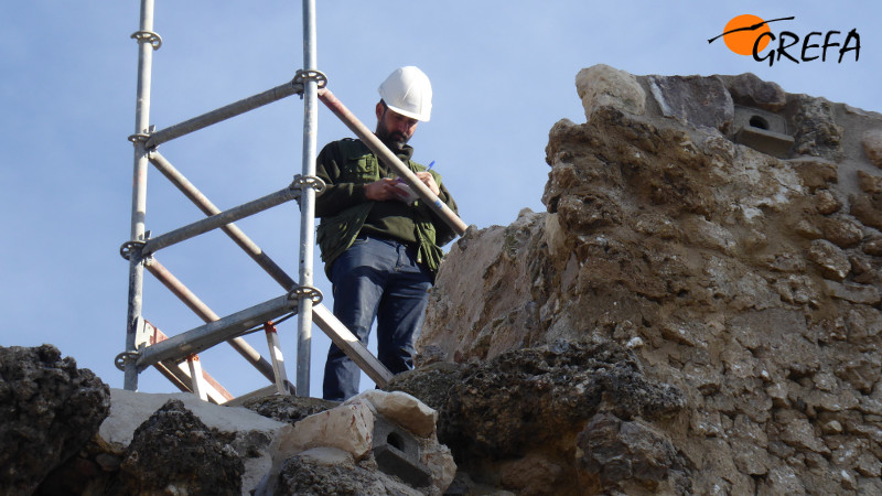 Juan Martínez, biólogo de GREFA, supervisa la colocación de nidales de cernícalo primilla durante la restauración de uno de los lienzos del muro del castillo de Torrejón de Velasco (Madrid).
