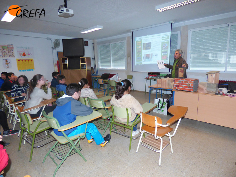Nuestro compañero Luis da las explicaciones oportunas en un colegio de Palma del Río (Córdoba), con una caja nido integrada para cernícalo primilla sobre la mesa.