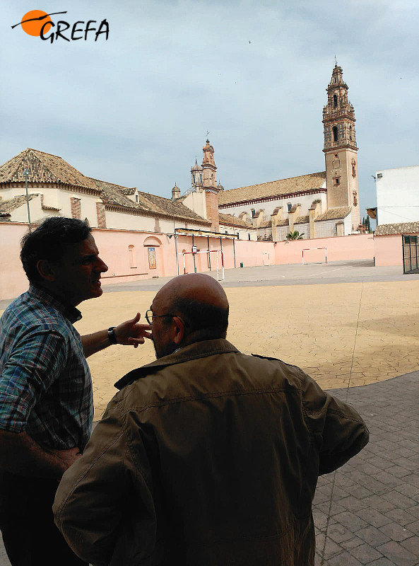 Uno de los colegios visitados en Palma del Río (Córdoba) se encuentra muy cerca de la colonia de cernícalo primilla ubicada en la torre de la iglesia de La Asunción. 