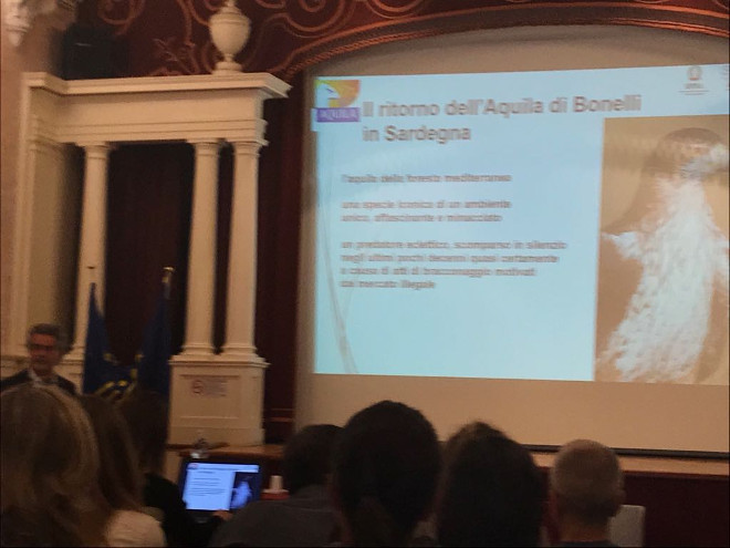 Fernando Spina explica en Roma, durante el Día Europeo de la Red Natura 2000, los pormenores del proyecto AQUILA a-LIFE
