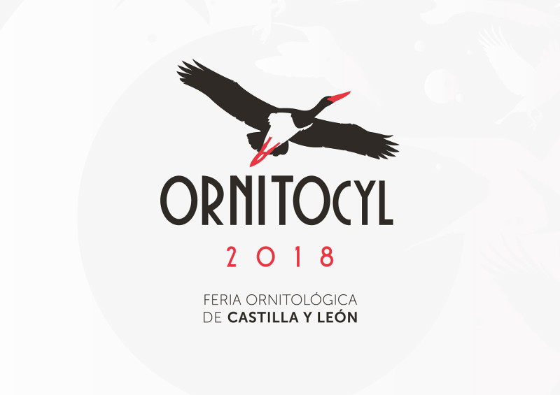 Ornitocyl