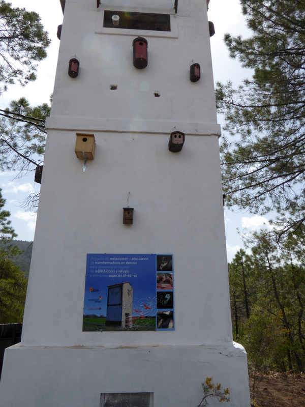 Transformador eléctrico de Villalba de la Sierra (Cuenca), una vez habilitado por GREFA como punto de biodiversidad.