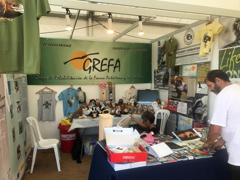 Stand de GREFA en la edición de 2018 del Delta Birding Festival (21-23 de septiembre).