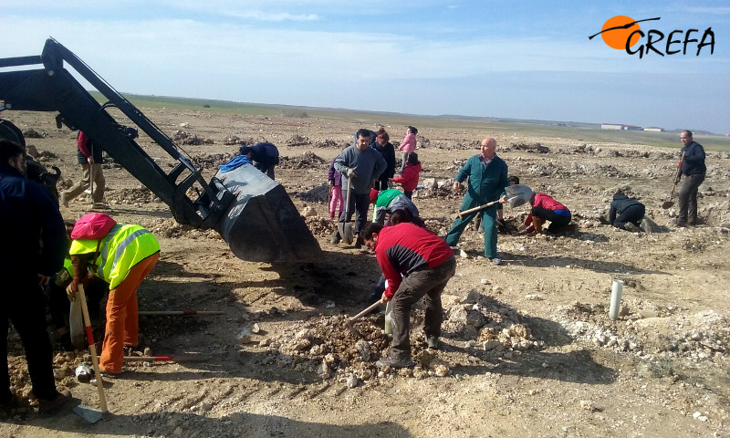 Vecinos de Villafruela (Burgos) y voluntarios trabajan en la restauración ambiental de una escombrera. Foto: GREFA.