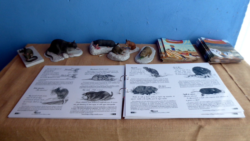 Réplicas de los roedores que afectan a los medios agrarios, junto a una guía para su identificación.