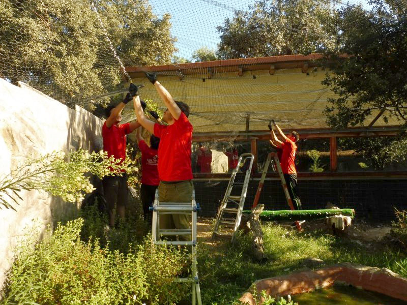 Voluntarios de Lilly instalan una malla en las instalaciones de GREFA.