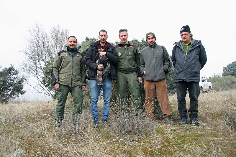 Agentes Forestales de la Comunidad de Madrid y miembros de GREFA posan junto a "Moro" instantes antes de la liberación de esta águila imperial.