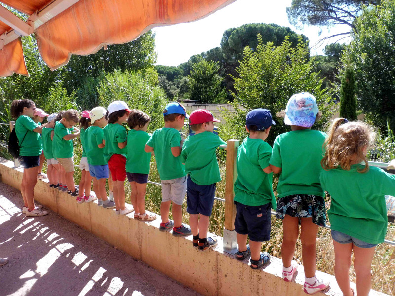 Un grupo de niños observa una de las charcas para anfibios del centro “Naturaleza Viva” de GREFA. 