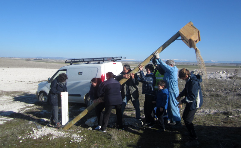 Varias personas izan una caja nido para lechuza durante una jornada ambiental celebrada en febrero de 2018 en Olombrada (Segovia).