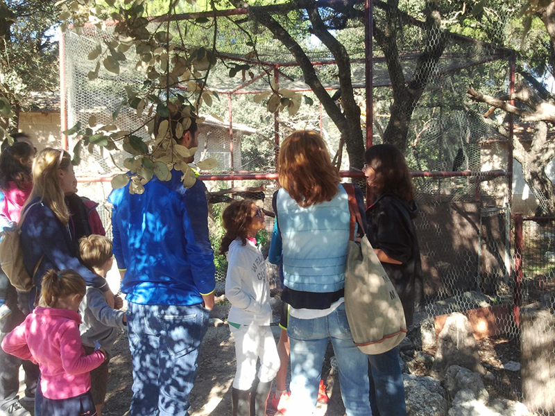 Un grupo de visitantes de fin de semana se detiene junto al recinto exterior de los córvidos en su recorrido por nuestro Centro de Educación Ambiental “Naturaleza Viva”.