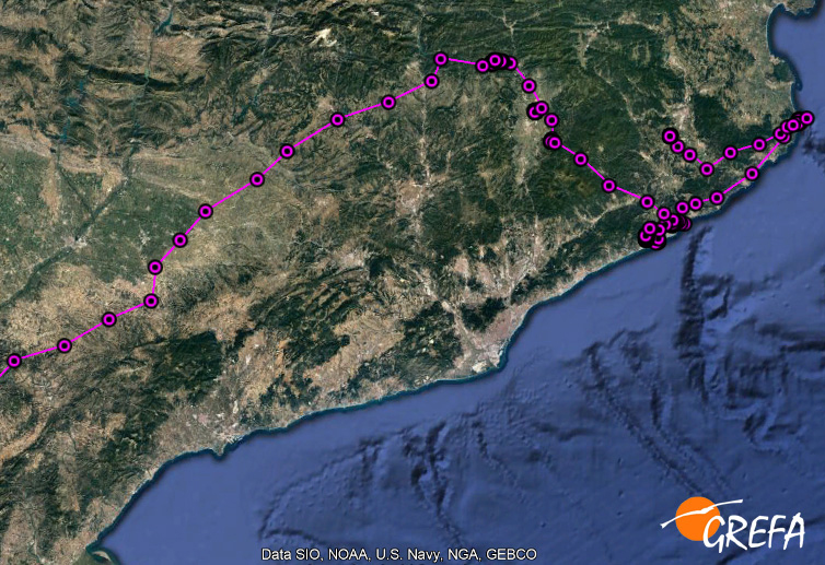 Desplazamientos de "Ametlla" poco antes de su captura en el aeropuerto de Girona. Foto: GREFA.