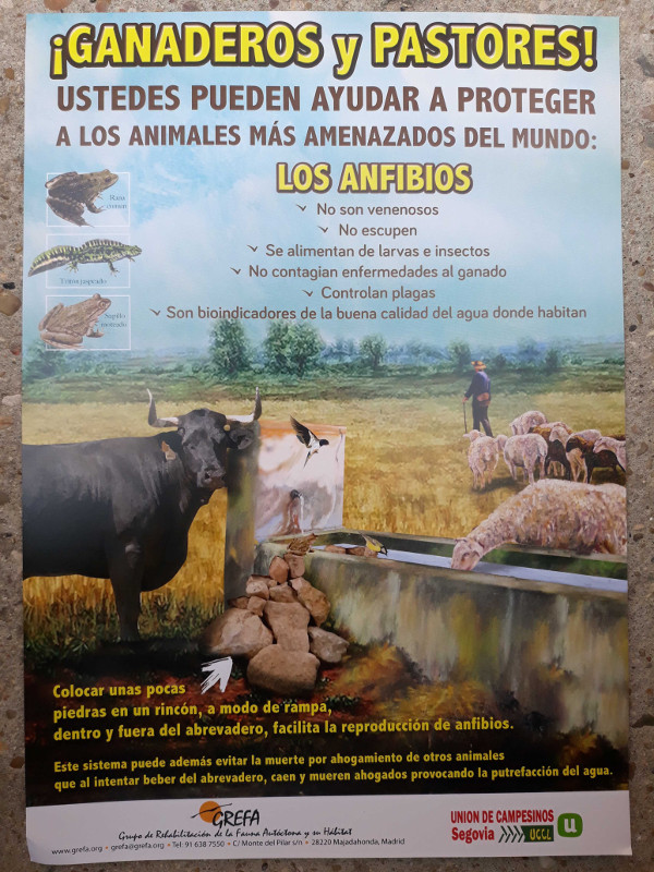 Cartel divulgativo realizado para la campaña en favor de los anfibios de  GREFA y Unión de Campesinos de Segovia-UCCL.