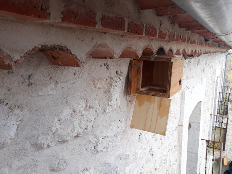 Detalle interior de una caja nido para vencejo colocada bajo el alero de una casa de Vegafría.