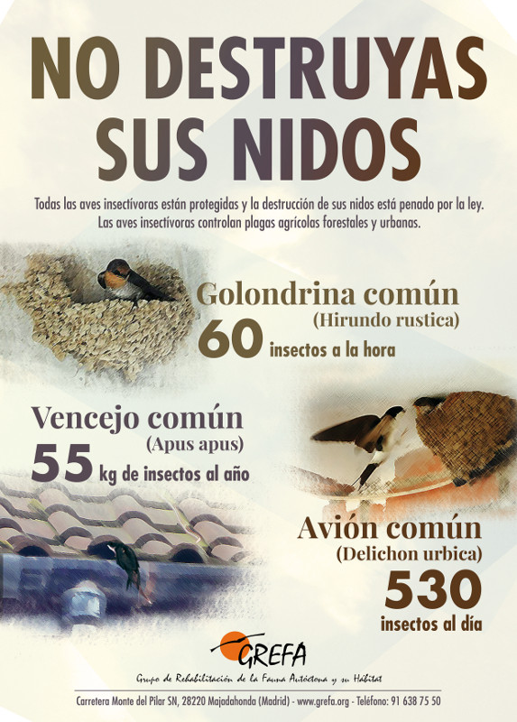 Cartel sobre la importancia de las aves insectívoras, difundido por GREFA.