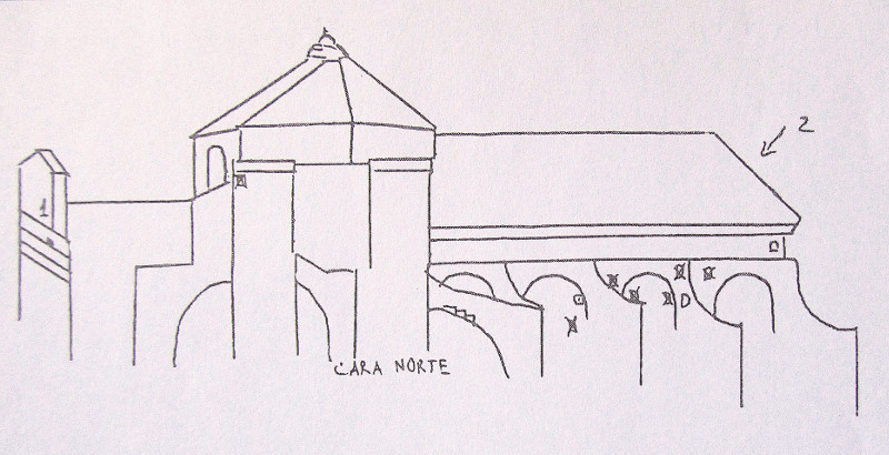 Dibujo de la Mezquita-Catedral de Córdoba correspondiente al censo de cernícalo primilla de 1994-1995 realizado por la Estación Biológica de Doñana, donde se indica la situación de los nidos de la colonia allí existente por entonces.