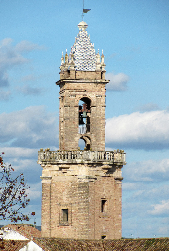 La torre de la iglesia de San Andrés, en Córdoba, albergaba una colonia de cernícalo primilla compuesta por 8-10 parejas. En su restauración eliminaron los mechinales y en los djez últimos años la presencia de la especie es nula.