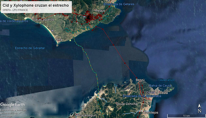 Detalle de los movimientos a través del estrecho de Gibraltar de "Cid" (en rojo) el 24 de noviembre y de "Xylophone" (en amarillo) el 8 de noviembre.