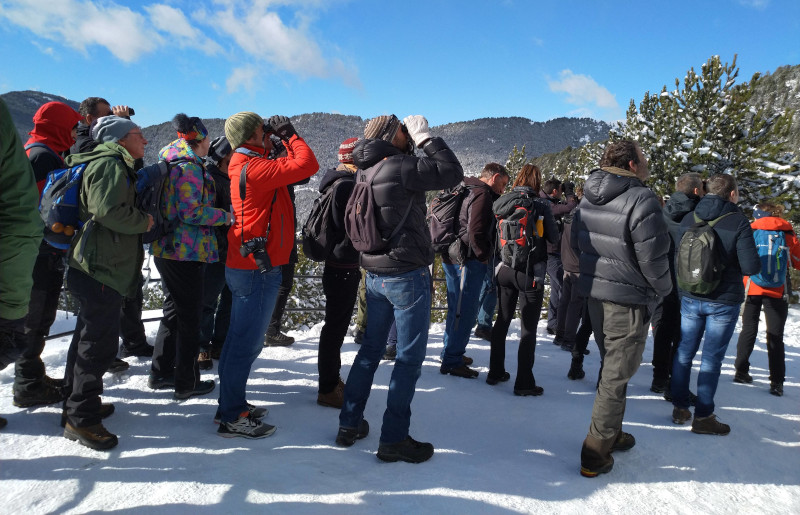 Excursión en la nieve de los participantes en el encuentro en Andorra sobre el quebrantahuesos.
