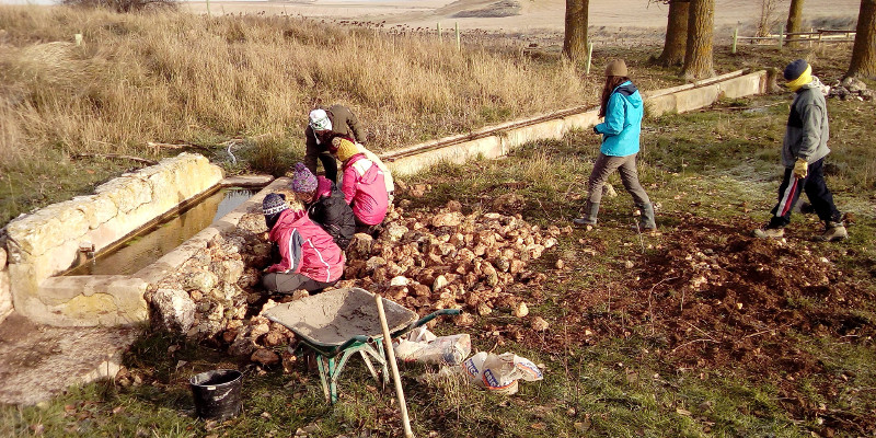 Voluntarios de GREFA trabajan el el revestimiento de un abrevadero de ganado de Villafruela con piedra caliza, para ofrecer refugio a la fauna silvestre.