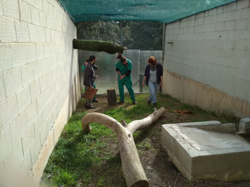 Alumnos del curso de técnicos en una práctica destinada a preparar una instalación para acoger a fauna en recuperación